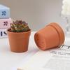Succulent Plastic Root Control Pots