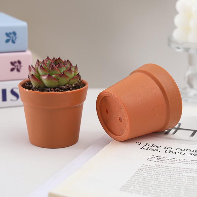 Succulent Plastic Root Control Pots