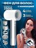 Feng for Hair Professional 5B1 with Ionization and Nozzles