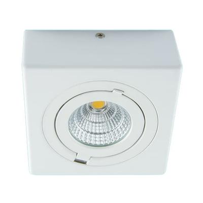 Oprawa Sufitowa Biała LED D 9W IP20 IGOR Ideus 03128