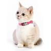 Reflective Nylon Cat Collar with Bell, Engraved Adjustable Anti-Lost Feature