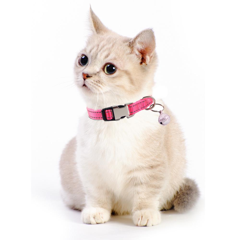 Reflective Nylon Cat Collar with Bell, Engraved Adjustable Anti-Lost Feature