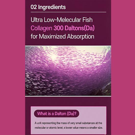 WELLIT Re:Neue Kollagen-Booster-Ampulle 15000 50ml × 14 Flaschen (3 Optionen)