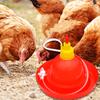 Automatic Poultry Drinker Waterer Farm Chicken Water Drinking Bowl for Birds Chicken Automatic Farm Poultry Drinker Bowl Chick