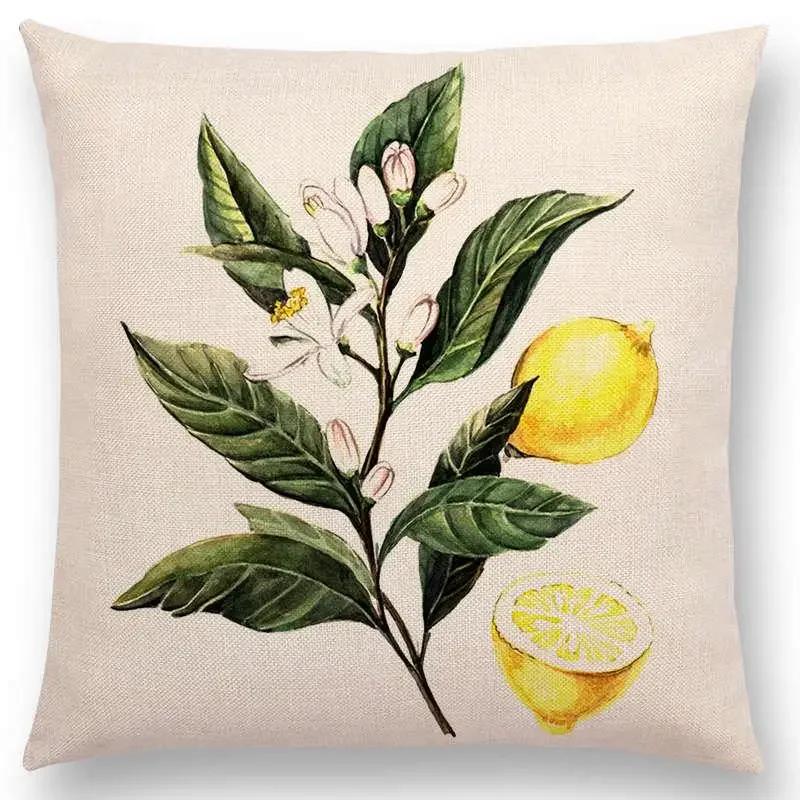 Lovely Birds Flowers Plants Sofa Pillow Case Hummingbird Rose Raspberries Lemon Dill Clove Almonds Cushion Cover