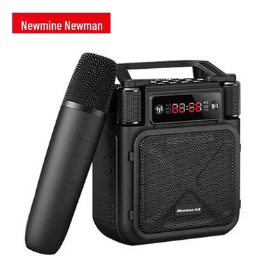 Newmine MS19 Wireless Amplifier with Handheld Microphone CN Plug (adapter Included)