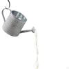 Light Decor, Battery Operated, Watering Can Sprinkles With Fairy Ornaments