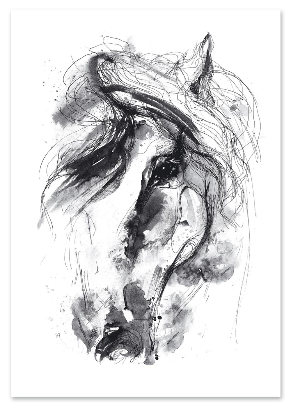 

Plakat obraz koń szkic 30x40 cm