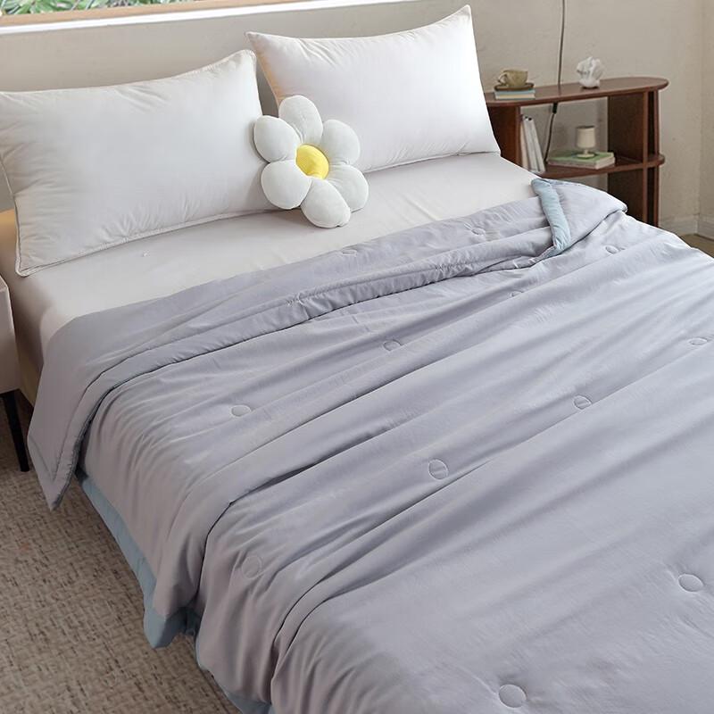 Arctic Velvet Summer Washable Quilt