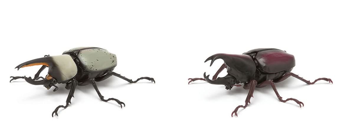 

Illustrated Encyclopedia of Creatures Beetle 03 of 2 White Beetle Beetle Gacha Gacha Capsule Toy [Set (Grant (White)/Hime (Reddish Brown))]
