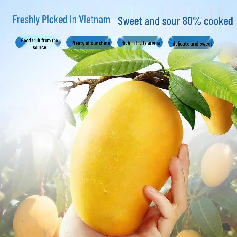 Sweetheart House Dried Mango