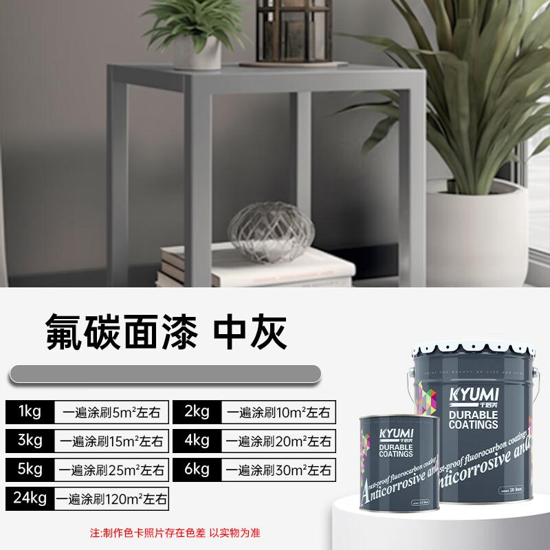 Qianjumei L Outdoor Rust-Proof Fluorocarbon Metal Paint