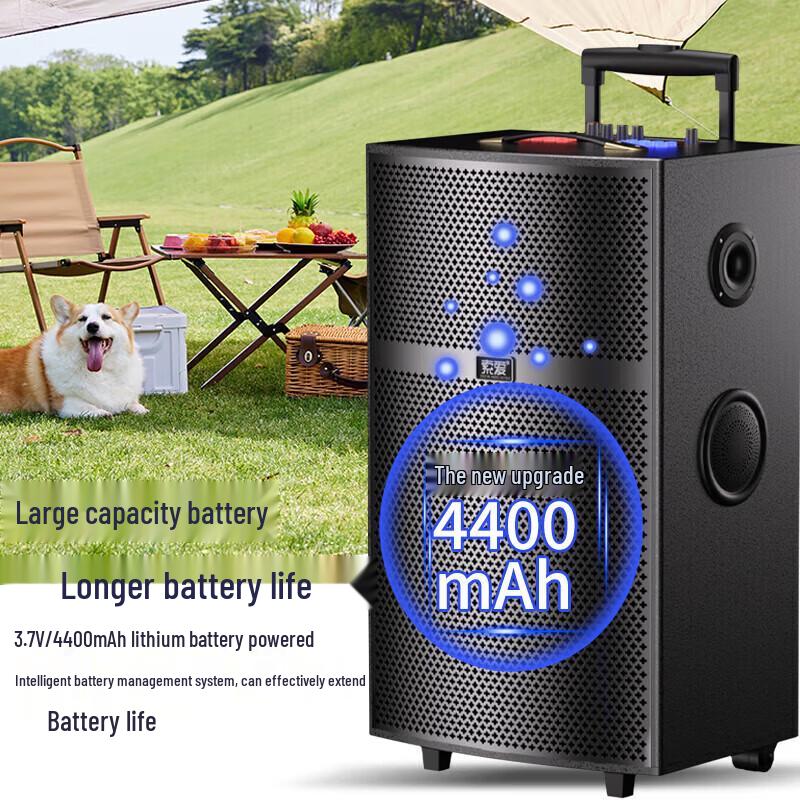 Soai SA-X93 Portable Karaoke Speaker