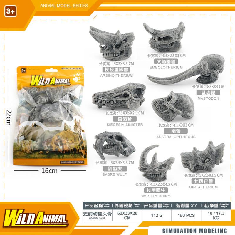 Simulation Prehistoric Creature Model Primate Mammal Skull Tabletop Static Ornament Toy