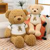 Plüsch-Teddybär-Spielzeug mit Rosen-Samtstoff für Schlafzimmerdekoration und als Geschenk