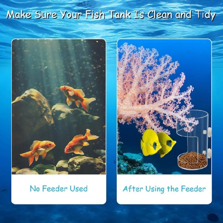 Plastic Fish Food Feeders Aquariums Feeders With Strong Suction Cups for Home And Office Aquariums