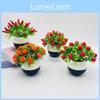 Plastic Cherry Chili Fruit Bonsai With Realistic Design Home Decoration Event