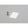 Daytona Plastic Sheet 100X15077032