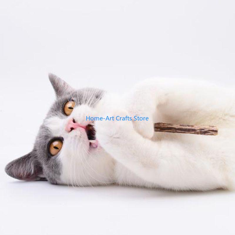 Y3NA Natural Silvervine Sticks for Cats, Catnip Sticks Matatabi Chew Sticks Teeth