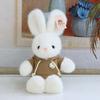 Stuffed Rabbit Plush Toy Cartoon Animal Sweater Rabbit Soft Doll  Birthday Gift