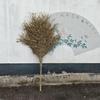 Traditional Large Bamboo & Wood Handle Broom for Outdoor Sweeping and Road Cleaning