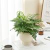 Retro High-Leg Ceramic Flower Pot for Phalaenopsis, Green Radish, and Spider Plant in Cream Style