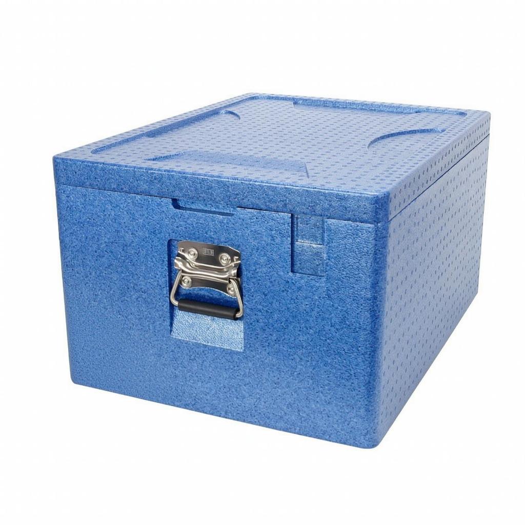 Insulated Food Box Carrier Sturdy Transport with Lid for Picnics