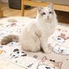 Pet Cushions Are Universal In All Seasons, a Large Number of Colors, Durable Pet Cushions, Pet Blankets, Dog Cushions, Supplies