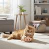Cat Feeding Toy For Fun Cat Hunting Toy 11.86*4.72*5.7cm Cat Food Dispenser Fish-shaped Design Food-safe Silicone Material