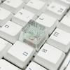 Resin ESC Keycap Decorative Pine Blossom Dry Flower Keycaps for Mechanical Keyboards with Exceptional Transparency