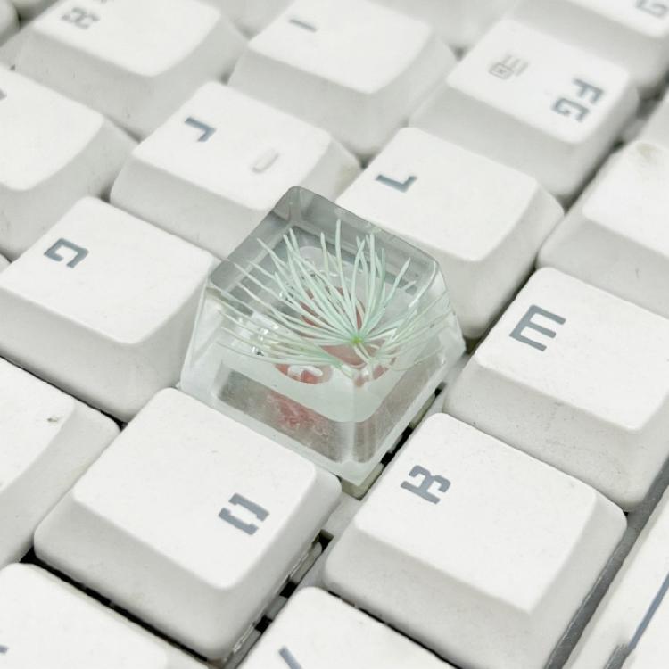 Resin ESC Keycap Decorative Pine Blossom Dry Flower Keycaps for Mechanical Keyboards with Exceptional Transparency