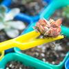 20Sets Small Seed Planter Strong Practicality Small Portable Comfortable to Use Seedling Remover for Vegetable Planting