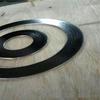 Gongyue Metal Spiral Wound Gasket