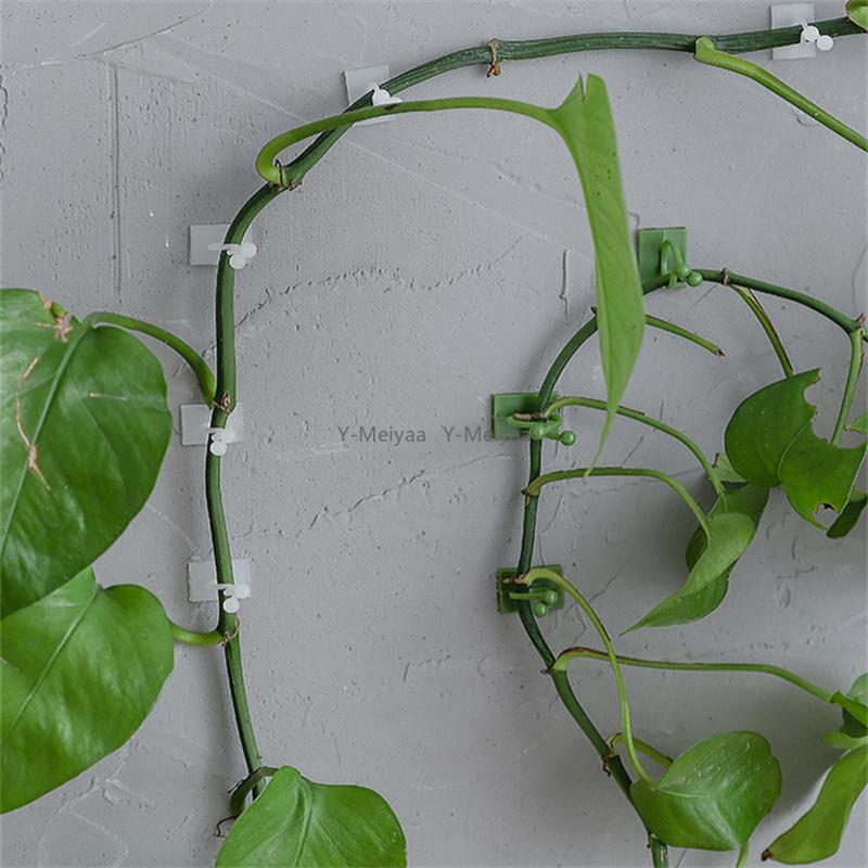 10/50/100pcs Home Garden Plant Climbing Wall Fixture Clips Rattan Vine Fixer Self-Adhesive Plant Climbing Wall Fixed Buckle Hook