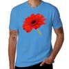 Red Gerbera Daisy T-Shirt Kawaii Clothes Heavyweights Cute Tops Mens Clothing