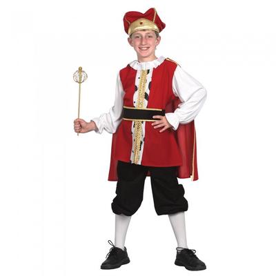 Childrens/Kids Medieval King Costume