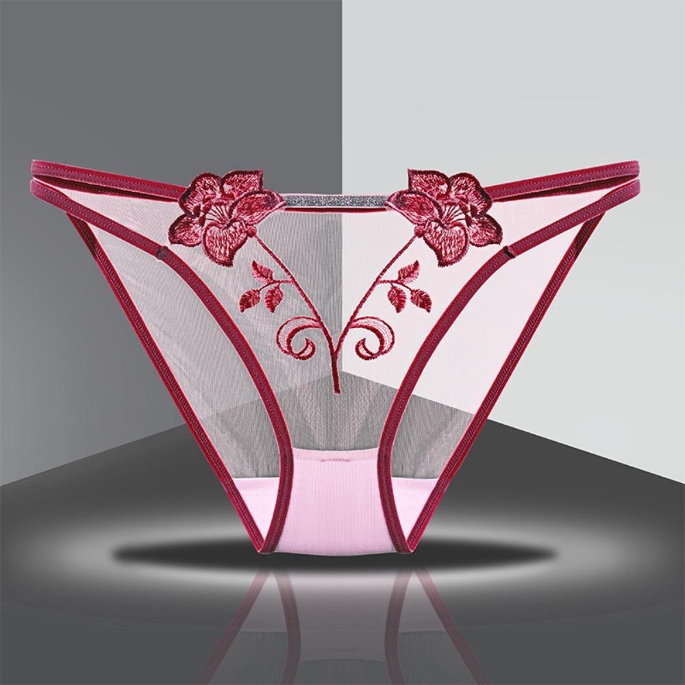 Cotton Crotch Mid Waist Mesh Briefs Thin Belt Mesh Transparent Underpants Female