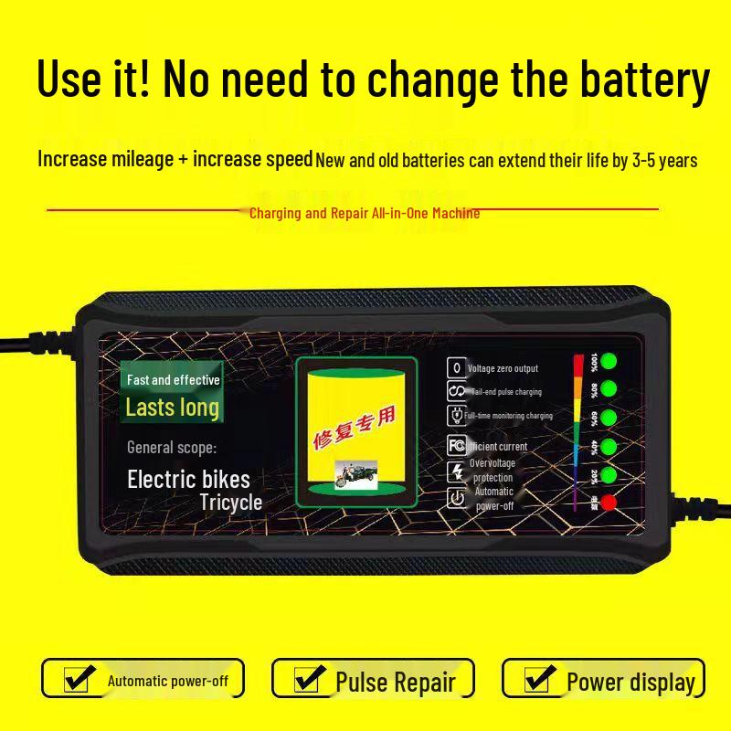 Universal 60V Electric Vehicle Battery Charger