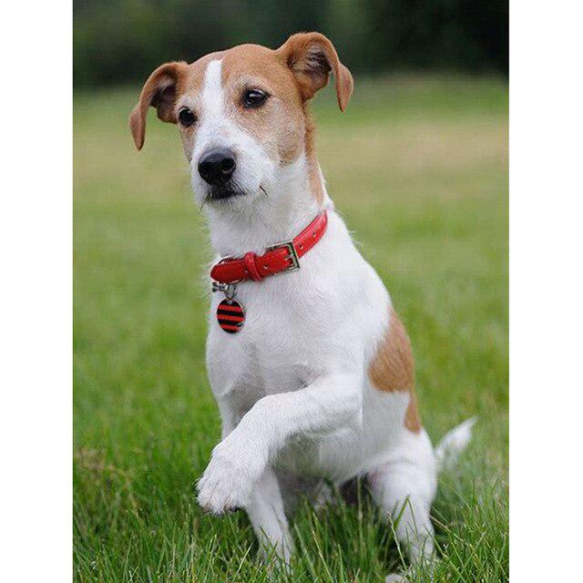 Quadro Diamantato A Pois Kit Diamanti 5D Per Adulti - Disegno Con Pietre Brillanti 25,8x45,8 Cm