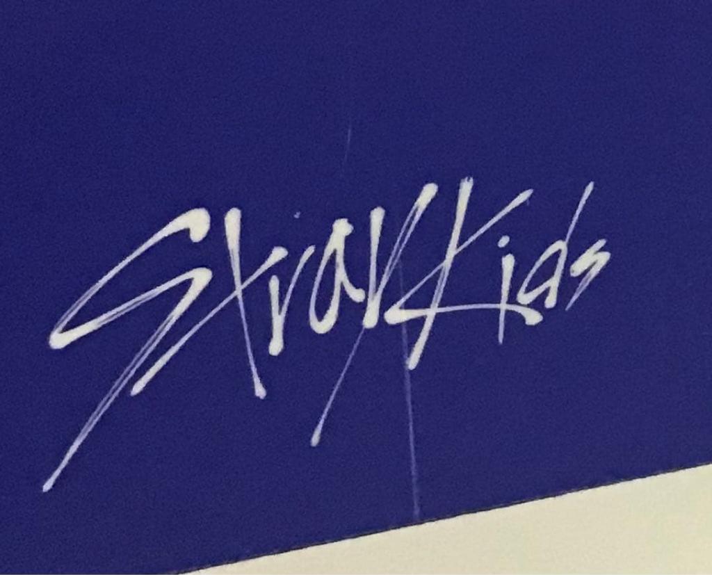 [USED] Straykids Karma Hyunjin US Target trading card