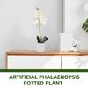 Simulated Artificial Phalaenopsis Orchid in Pot Realistic Fake Potted Plant Decor for Home Office Living Room Bedroom Kitchen