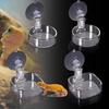 Reptile Pet Feeding Basin Water Bowl Adsorbable Leopard Gecko Bearded Dragon Frog 6 Cm Feeding Supplies Reptile Tools Hanging