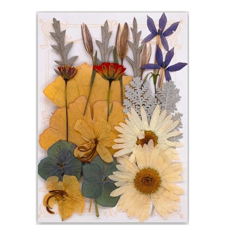 Natural Pressed Dried Flower For Epoxy Resin Dry Flowers and Leaves Set for Soap Candle Jewelry Making Scrapbooking