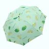 Sun Umbrella for Women, Compact and Portable, Dual-Use for Sun and Rain, Capsule Style, Fresh Design, Black Coating Sunshade Umbrella