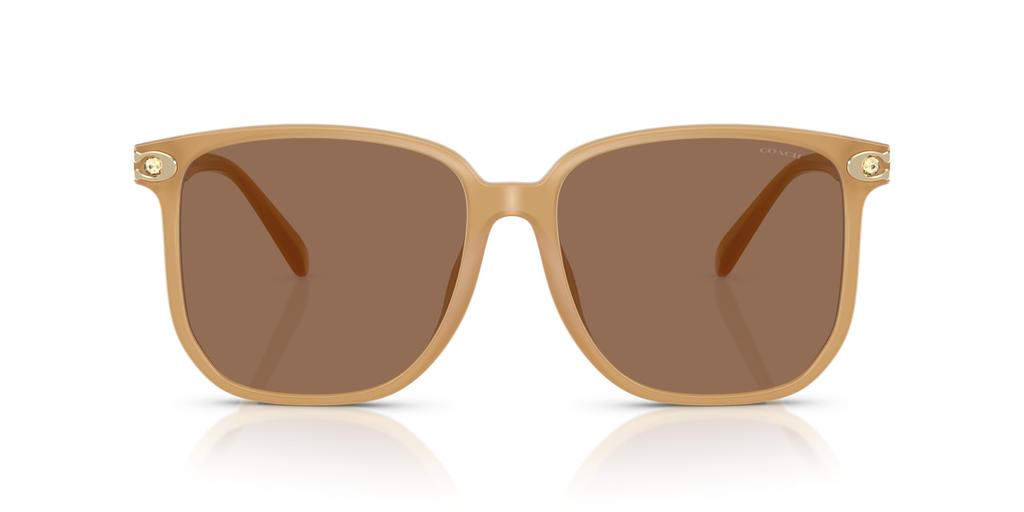 Sunglasses 0HC8413BD MILKY TEA 58 [Coach]