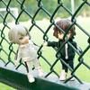 Obitsu 11 OB11 Size Outfit for Obitsu Doll 11cm School and Socks 5 Body Jersey, Jumper, Pants, (3-Piece Set, Colors) (Dark Green)