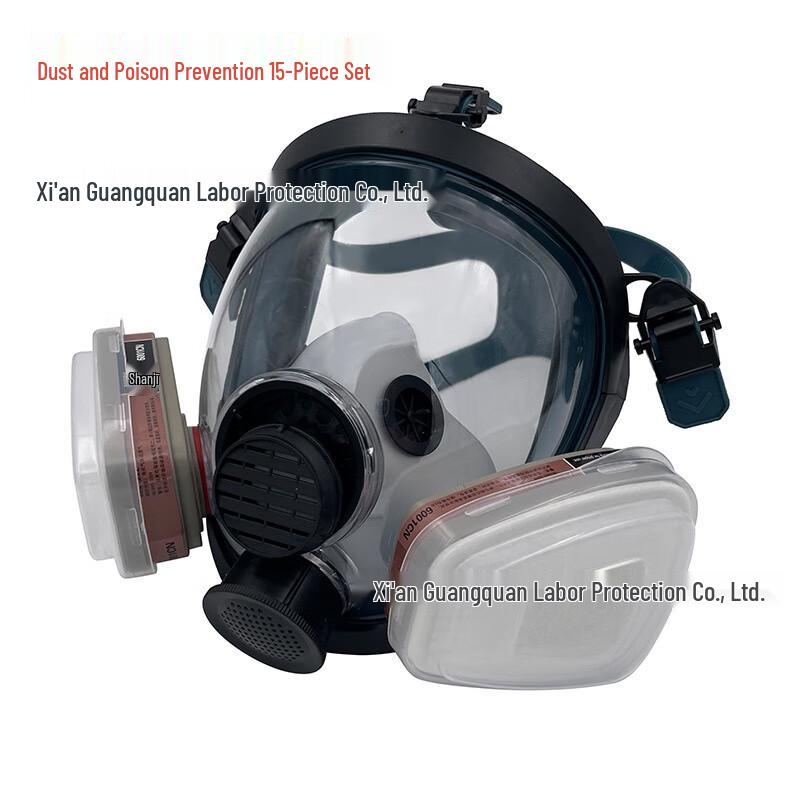SANSHENG Full-Face Silicone Respirator Mask 1