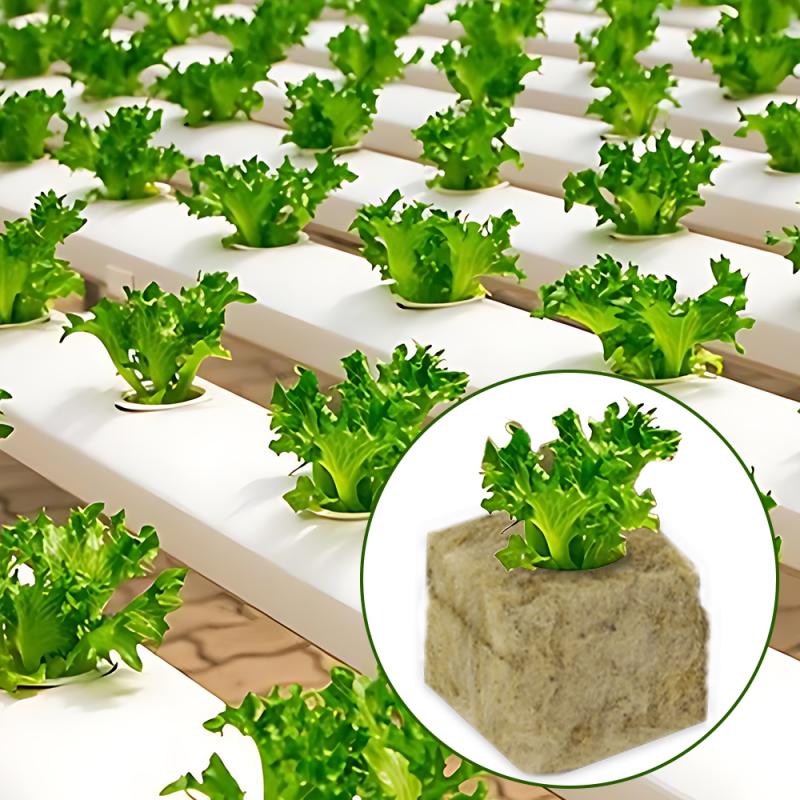 Seedling Grow Plug Sponge Block Starter Rock Wool Planting Grow Cubes Hydroponics Cuttings Garden Plant Propagation Grow Supply