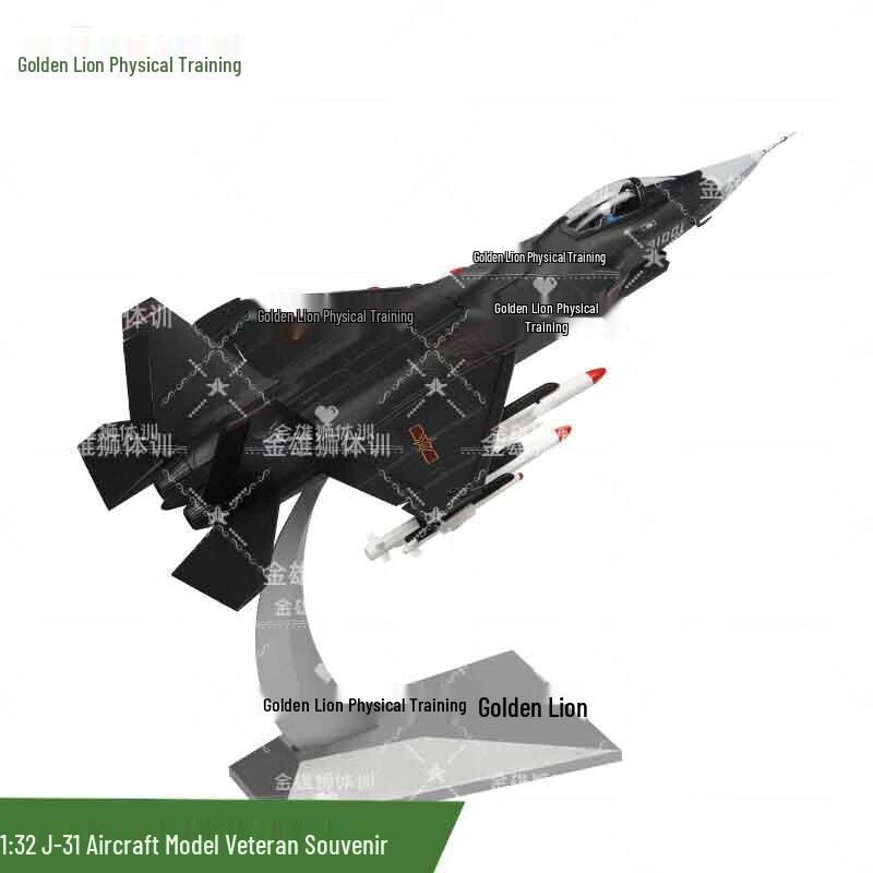 J-31 Fighter Jet Scale Model