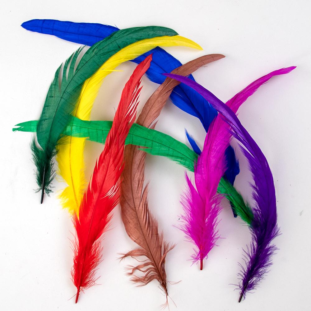 25-30cm Rooster Tail Feather Chicken Feather Bulk for DIY Wedding Party Carnival Materials Plumes Headwear Decoration